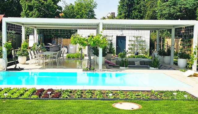 Luxurious large Home + Pool + Garden + Koi Pond 15 min. from city center