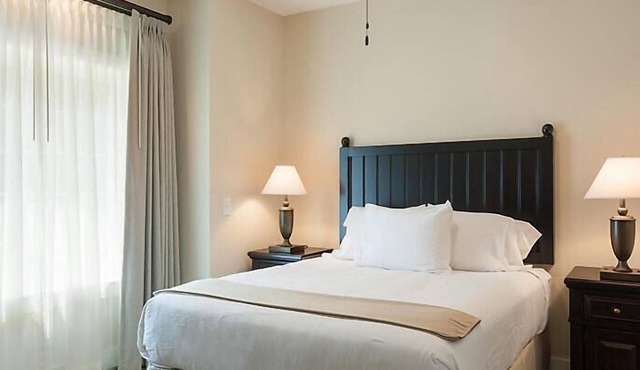 Luxurious Villas in the Blue Ridge Mountains. in Cashiers