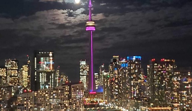 Luxury 2- Bed + Den Condo | Liberty Village | 19th Floor | CN Tower & Lake Views in Toronto