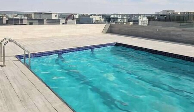 Luxury Apt W Pool Near Airport & Downtown Dubai