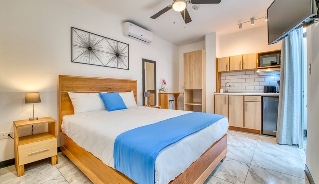 Modern Apartment in San Jose Downtown with patio! in San jose