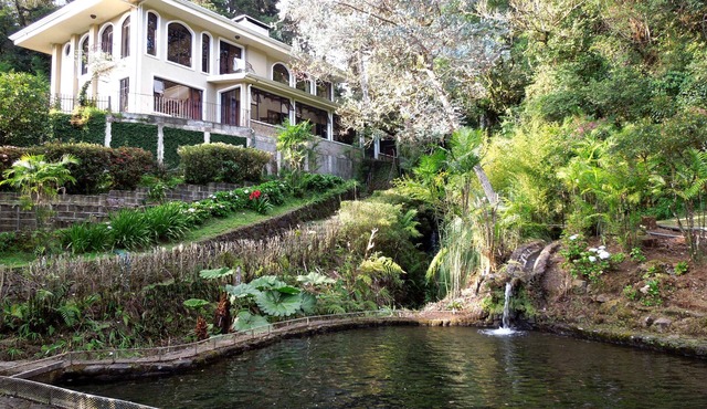 Mountain Retreat and Trout Fishing Adventure in a Tranquil Setting