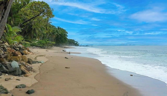 Oceanview Tropical Villa - Pickleball court - Steps from the Beach in Puntarenas