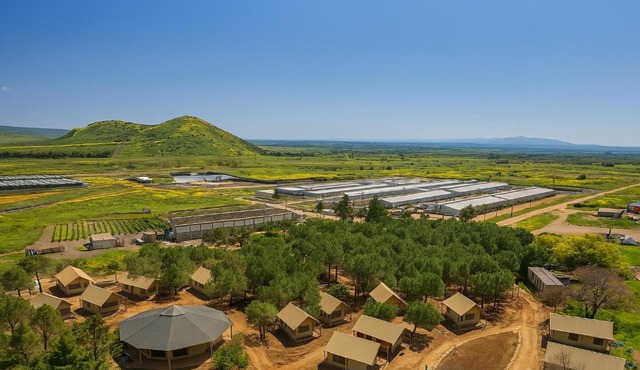 Ortal Glamping