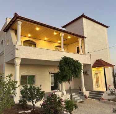 Pasha's house
