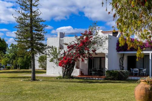 Pedras del Rei in Tavira