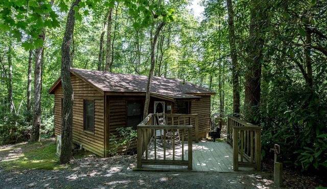 Pet-Friendly Cabin in North Carolina for Amazing Getaways in the Mountains in Spruce Pine