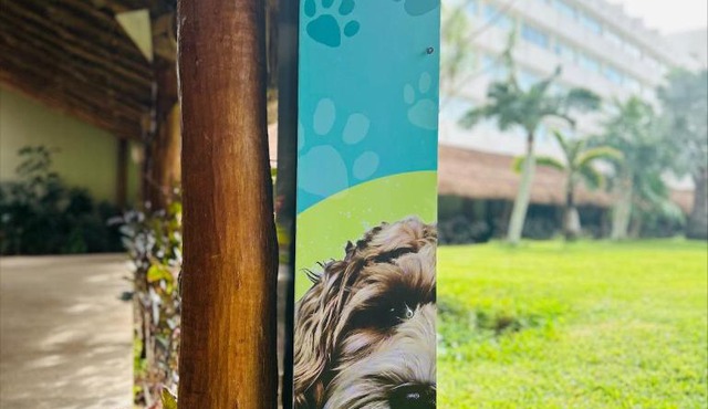 Presidente InterContinental Cancun Resort by IHG in Cancun