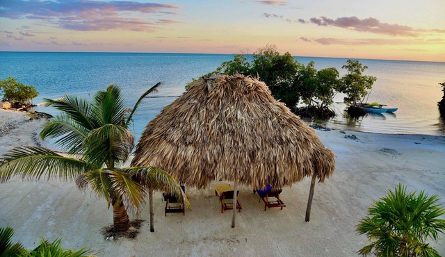 Private Beachfront Villa 6BR Caribbean Beach Palapa Pool/Cook/Pier/Rooftop bar in San Pedro