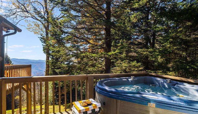 Private Mountain Cabin with Hot Tub + Epic Views! in Sylva