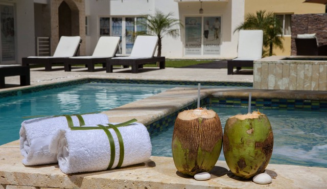 Punta Cana 12 BR Beach Luxury Penthouse Style + FREE BONUS in Punta Cana
