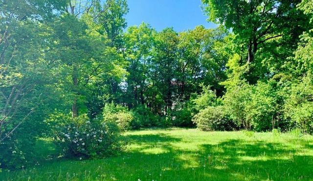 Quiet balcony apartment in the noble suburb of Munich Gräfelfing with a view of the countryside