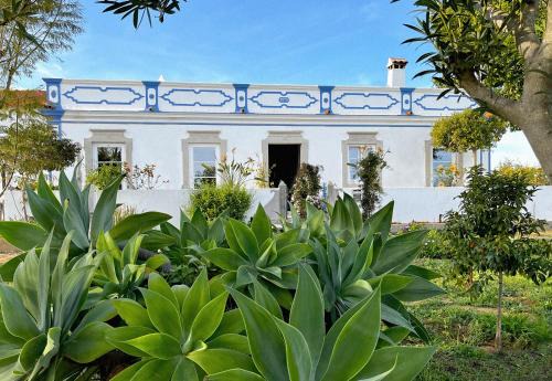 Quinta Baltazar Casa particular in Vila Real Santo Antonio