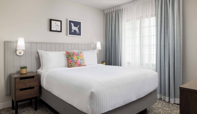 Relax in Comfort at a Modern Suite near Richmond Hill, Pets are Welcome in Markham