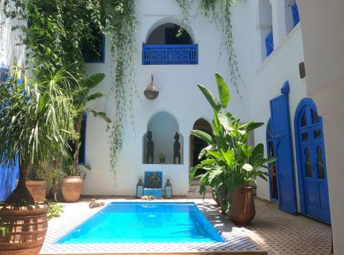 Riad Chameleon in Marrakesh