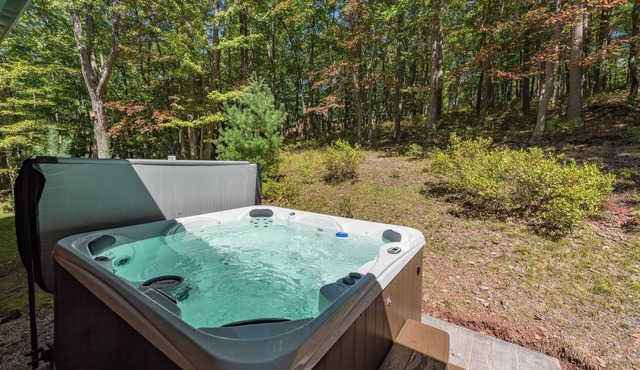 Rustic Deep Creek Cabin w/Fire Pit & Hot Tub in Swanton