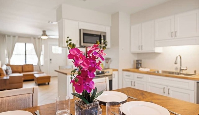 save 50% discount-Fresh & Clean! Look No More!