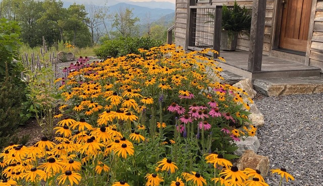 Secluded 13-Acre Family Cabin Near Chimney Rock & Lake Lure - Mt Mitchell Views in Black Mountain