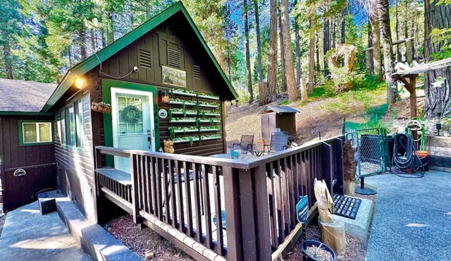 Serene Mountain Escape-Cozy Cabin Near Sly Park in Pollock Pines
