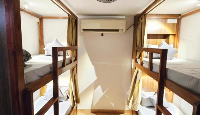 SLepYY FoX - Backpacker Hostel in Greater Kailash