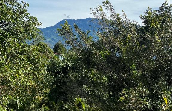 Sloth Villas in Turrialba