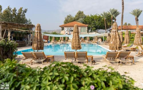 Solaya Kineret