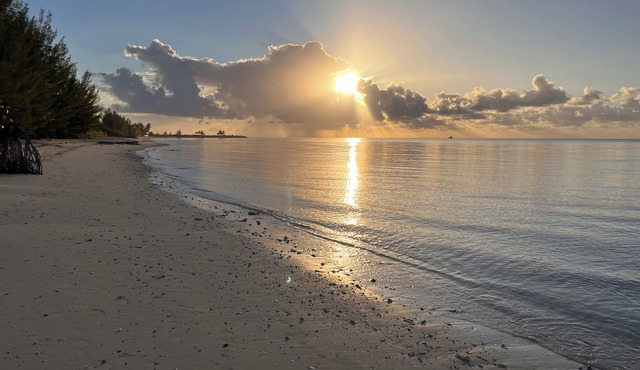 Spacious 3 Bed, 2 Bath Winter escape, near beach, includes car in Freeport