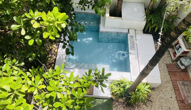 Spacious and cozy apartment in Playa del Carmen in Playa del Carmen
