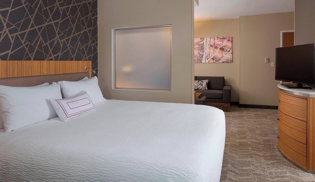 SpringHill Suites by Marriott St. Louis Airport/Earth City in Bridgeton