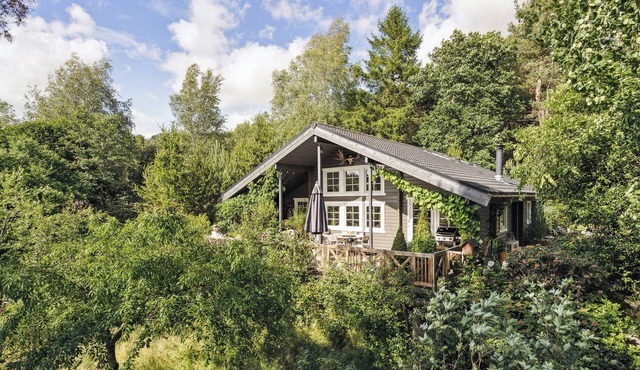 Step through the gate and feel peace in the woods in Silkeborg