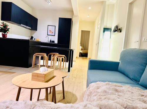 The Twin Suites Apartment in Brussels