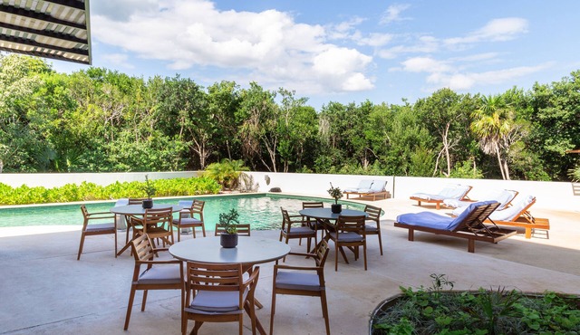 Top Floor Jungle View Entire Luxury Apartment 102