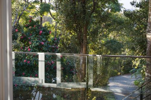 Torbay Tree Tops in Auckland