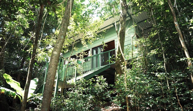TreeHouse Congo Monteverde in Monteverde