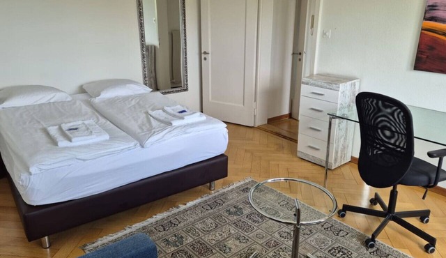 Very spacious studio with balcony (Parkview 2) in Zürich
