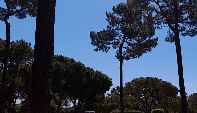 VILA PLANALTO -GOLF- Between golf and the sea