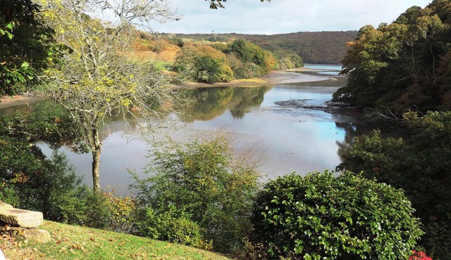 Waterside 16c Cottage Helford River. Private parking, View, Boat. No neighbours! in Helston