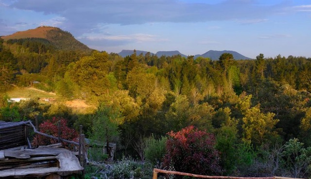 Wild Fox Hill in Hogsback