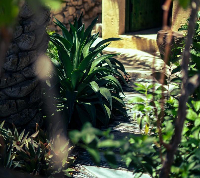 Wadi Bani Kharus Cabin | Wajmah