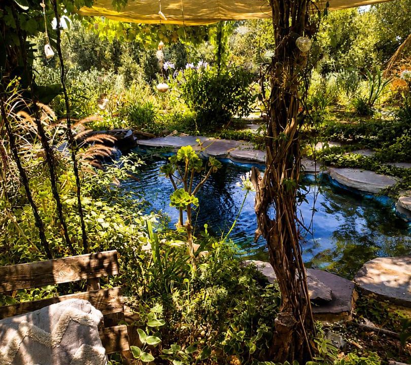 Vered Hagalil Apartment | Home for Air - 9 minutes from sea of Galilee
