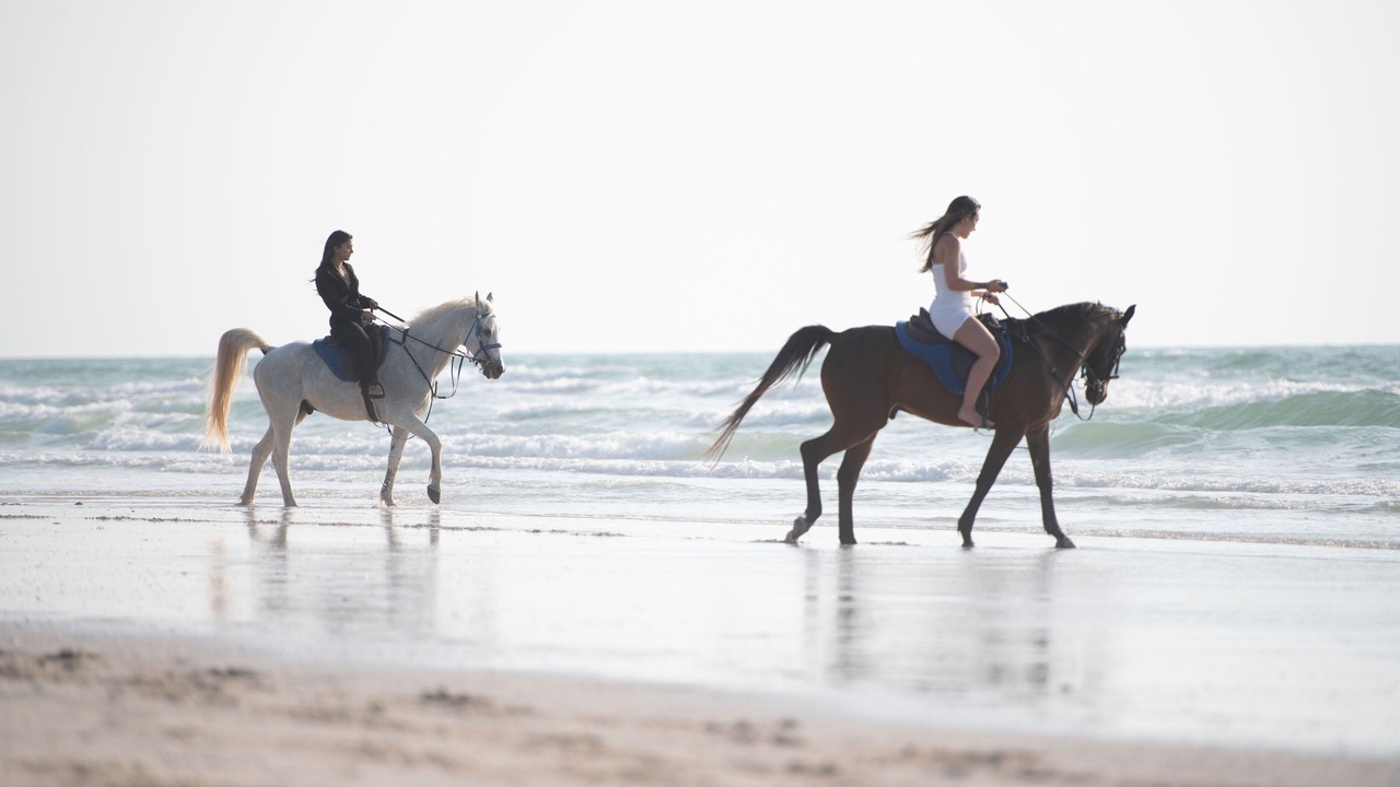 Photo of Outdoor in Umm al Quwain