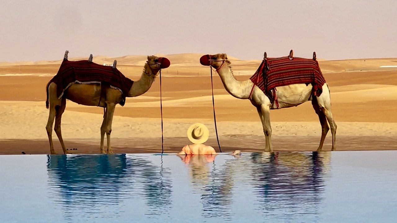 Photo of Outdoor in Madinat Zayed