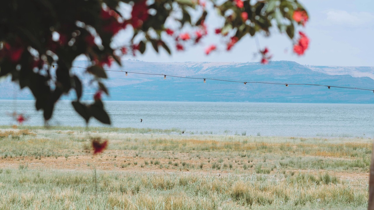 Photo of Others in Migdal