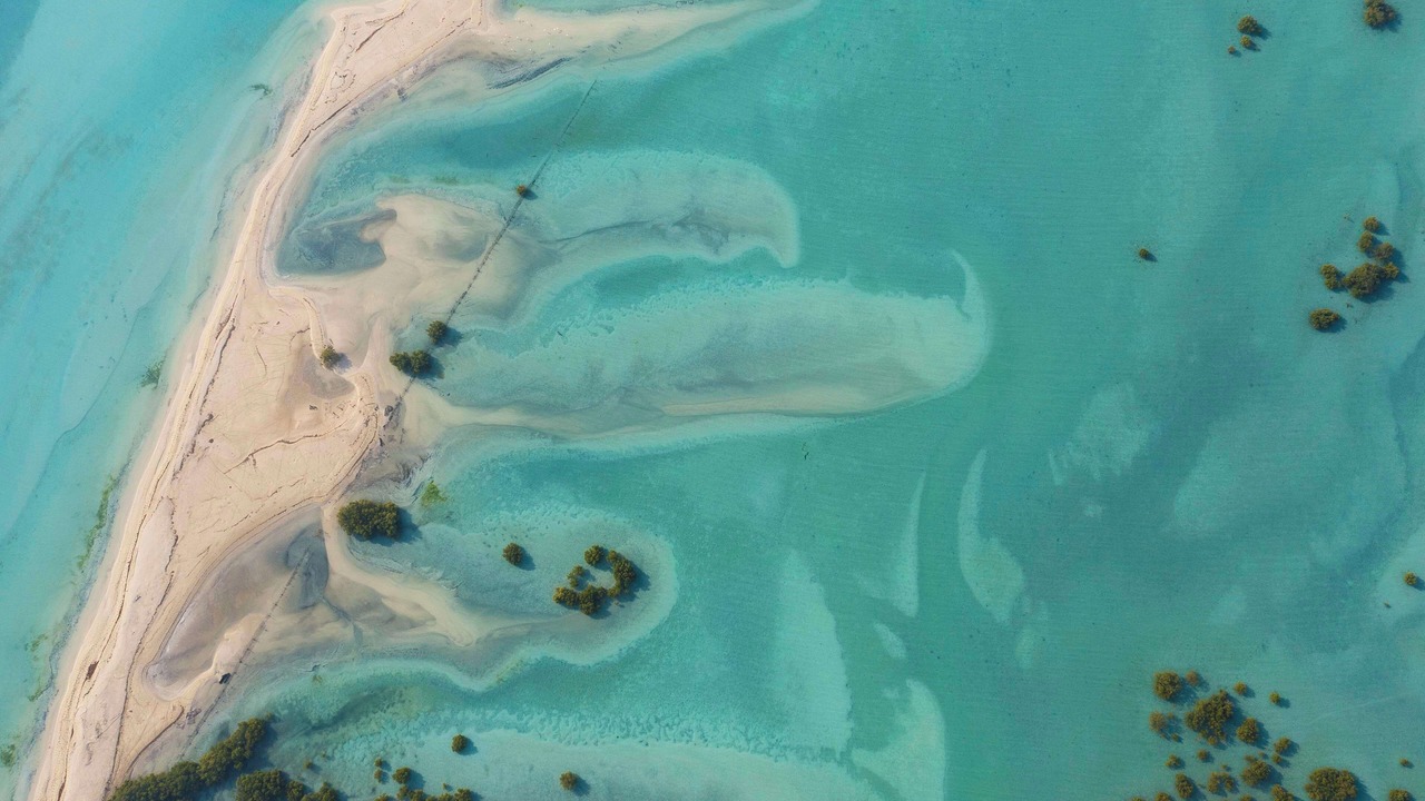 Photo of Outdoor in Sir Bani Yas Island