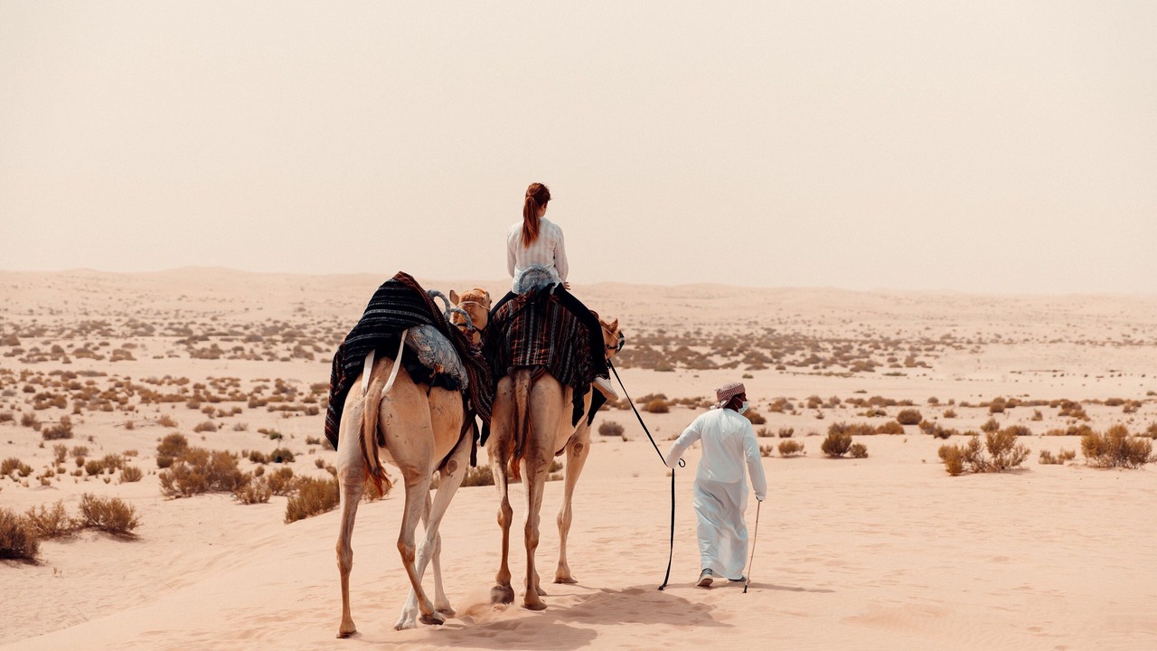 Photo of Others in Al Wathba