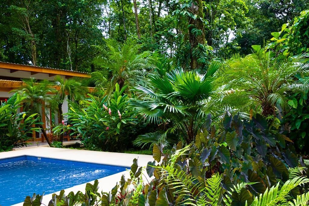 Photo of Outdoor in Cocles