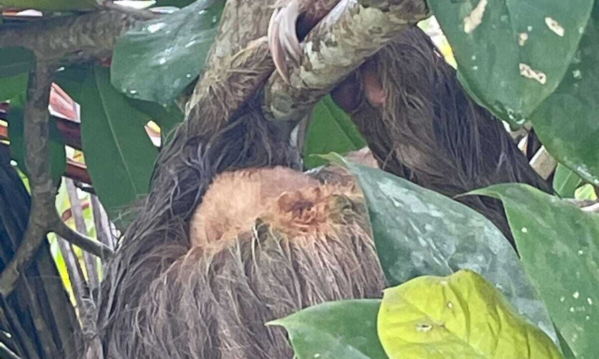 Photo of Others in Alegria