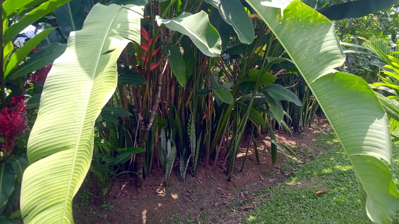 Photo of Patio Balcony in Penas Blancas