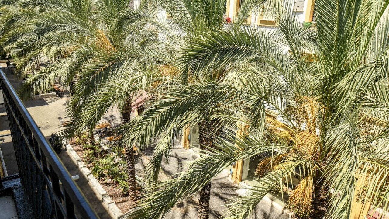 Photo of Outdoor in Haifa