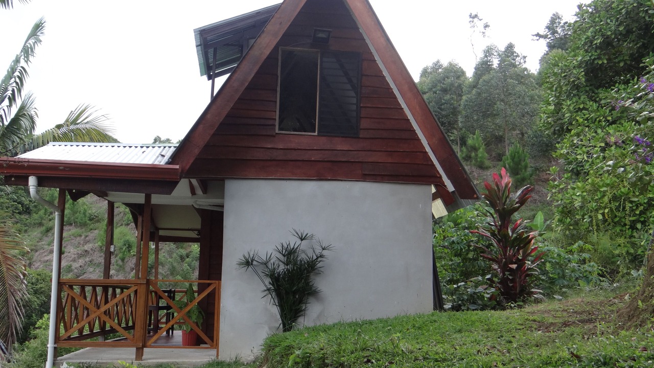 Photo of Outdoor in Pacuare Reserve